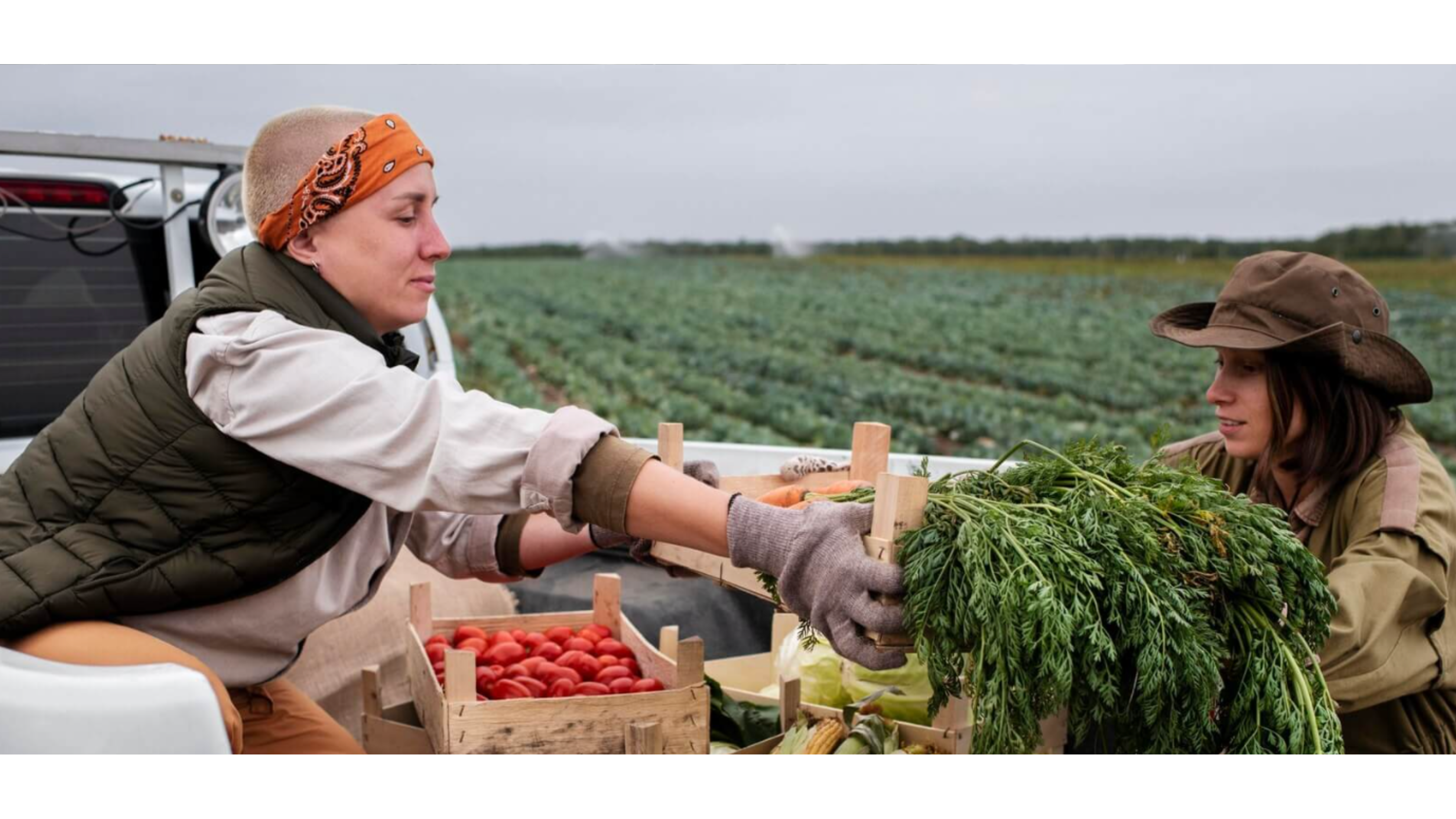 Teter Organic Farm 3