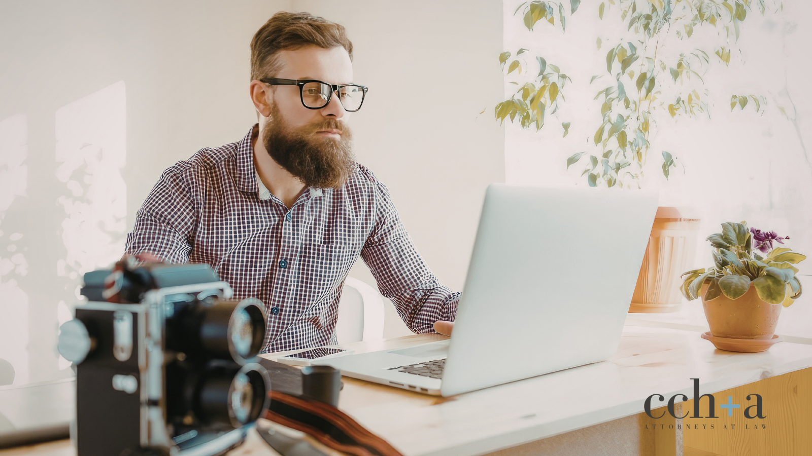 Digital creator working laptop home office